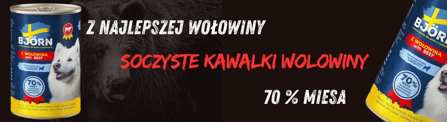 BANER 2 NOWY